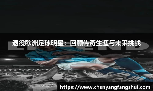 退役欧洲足球明星：回顾传奇生涯与未来挑战